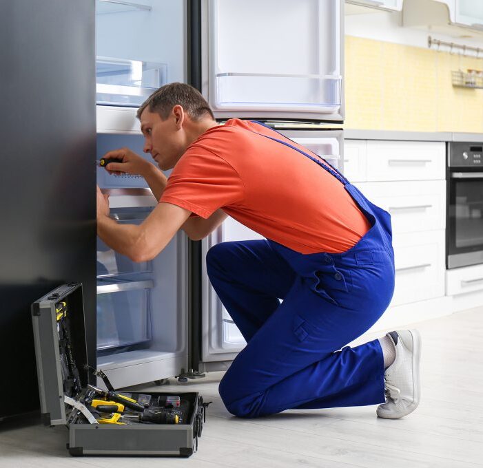 Cultivating organic vegetables through eco-friendly farming and mindful stewardship.